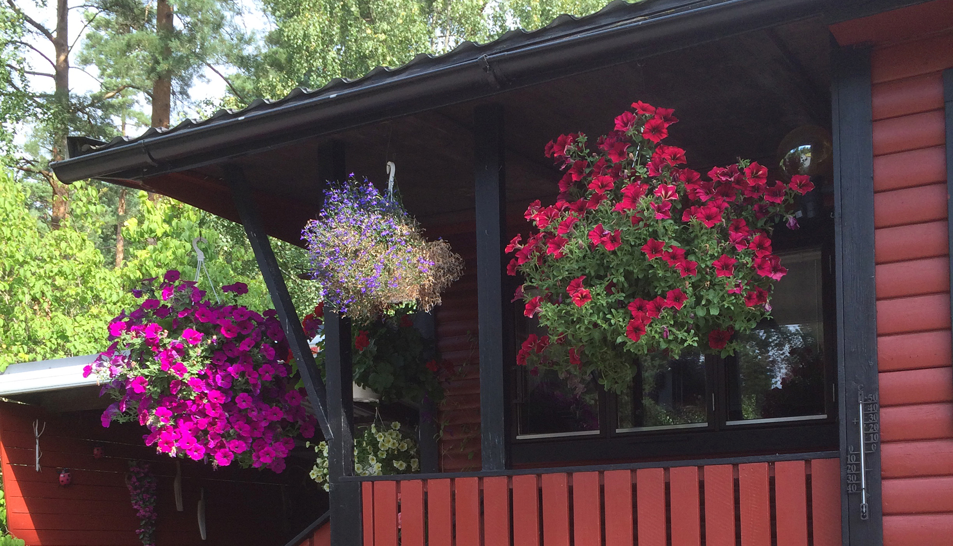 Ett rött hus med blommor som hänger i krukor