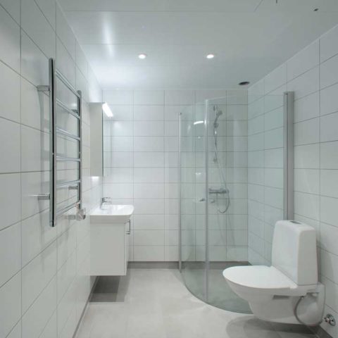 Badrum med dusch, toalett, kommod och hadduksttork