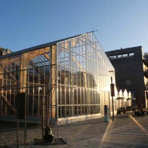 Ett jättestort växthus med stora glaspartier och en blå himmel i bakgrunden