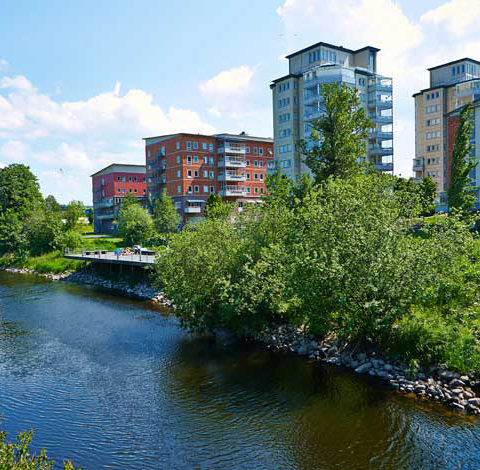 En å där man ser hus och träd i bakgrunden