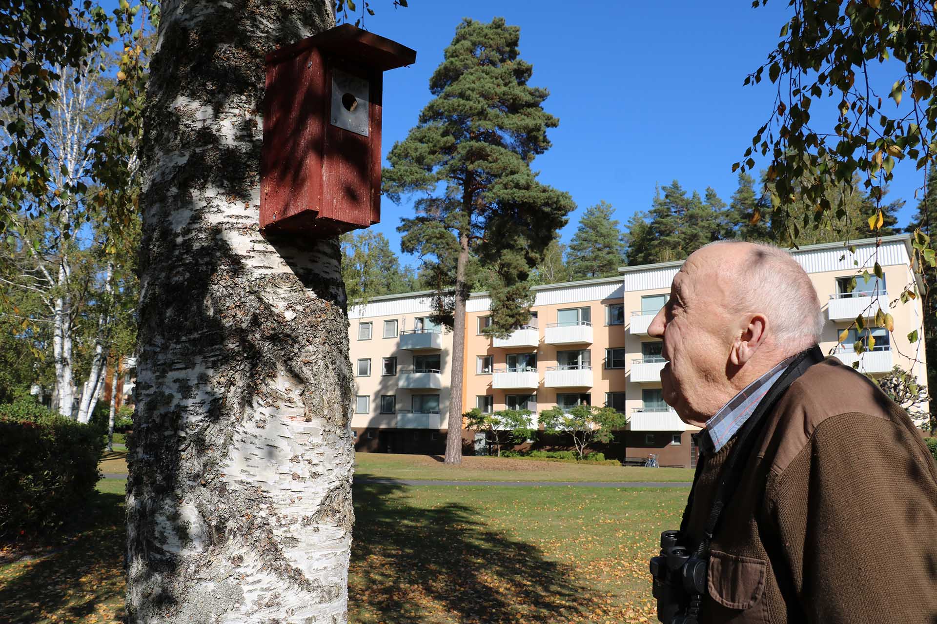 En äldre man tittar på en fågelholk i trädet