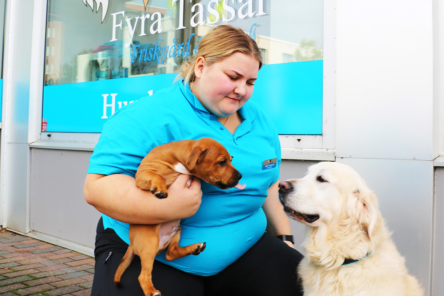 En kvinna med en blå piketröja sitter utanför en butik med en brunvit hundvalp i famnen och en golden retriever som sitter bredvid.