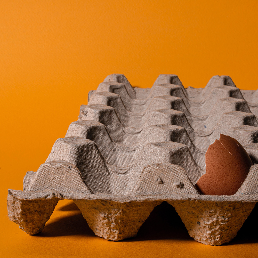 En tom äggkartong med endast ett öppet ägg i