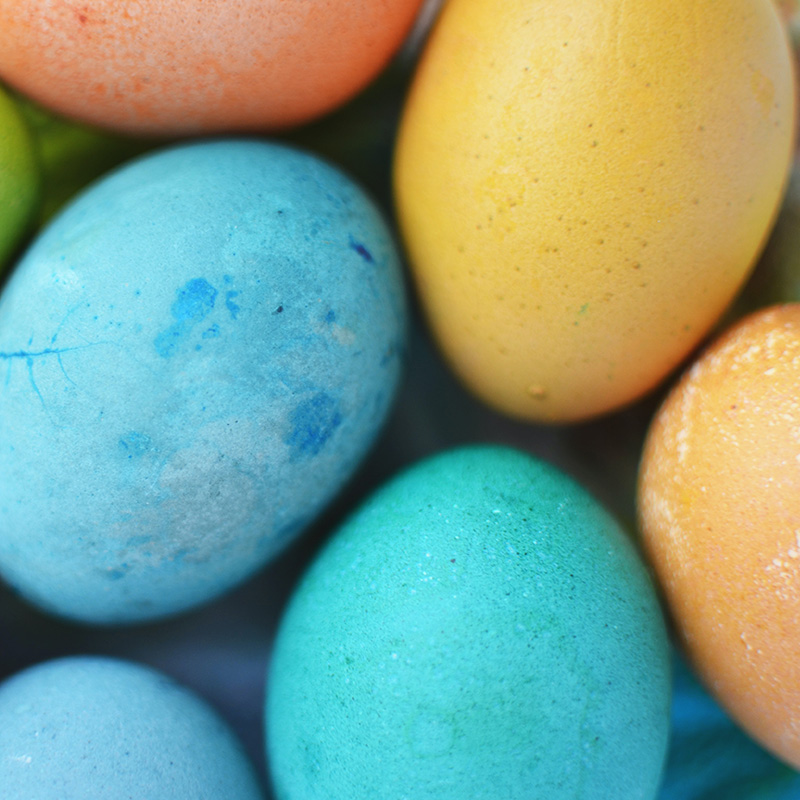 Ägg som är färgade i blått, gult, turkos och orange