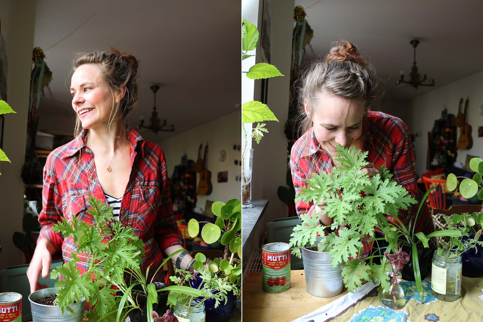 En tjej beundrar sina gröna växter på köksbordet och i fönstret