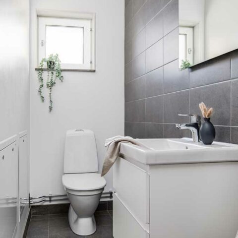 Ett litet badrum där man ser en toalett och ett tvättställ. Bakom är det ett litet fönster med en grön klätterväxt