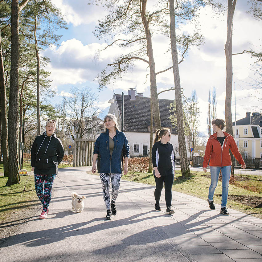 Fyra kvinnor och en hund går på en väg i ett bostadsområde med träd bredvid