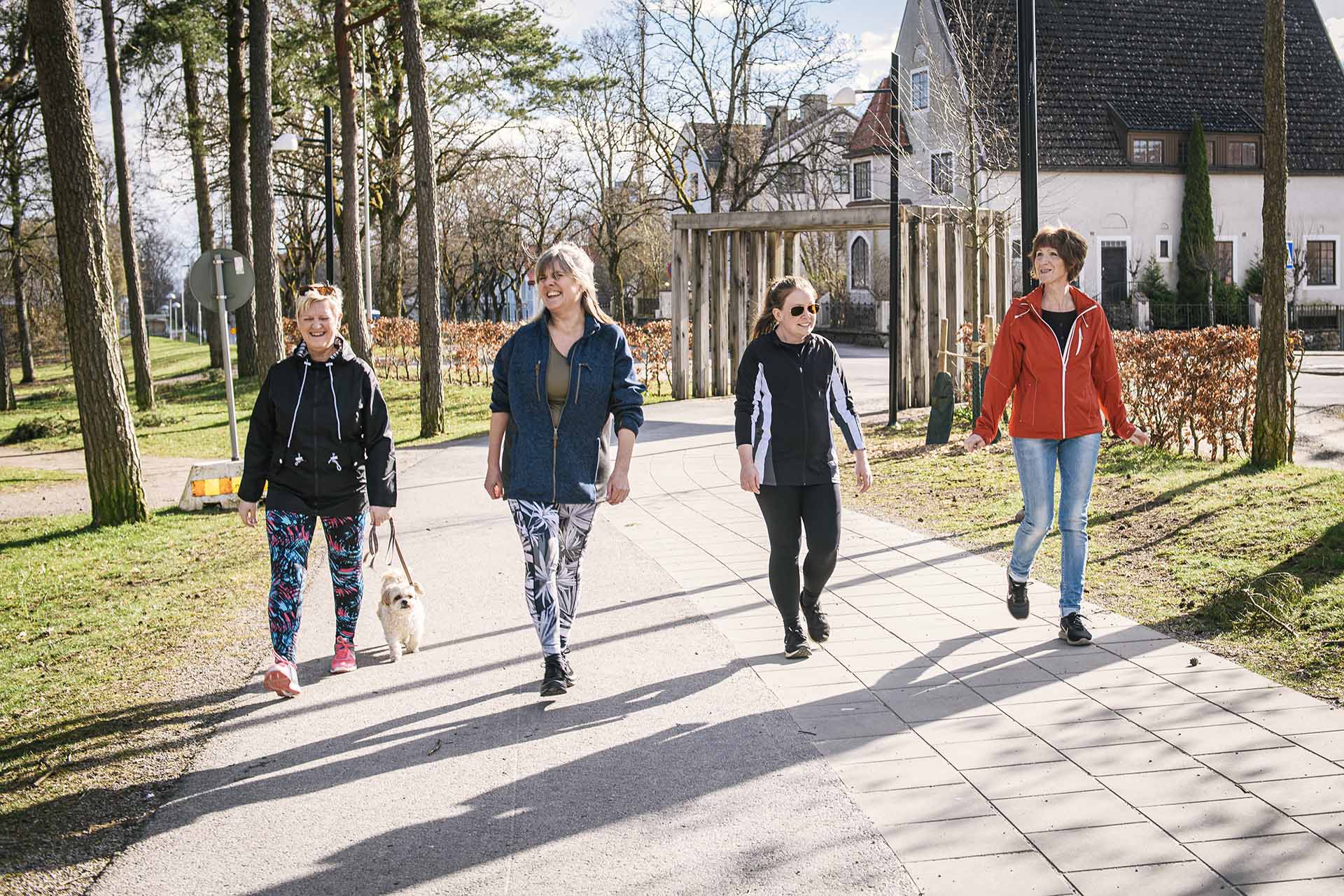Fyra kvinnor går på en gata med träd på sidan och med solen i ryggen.
