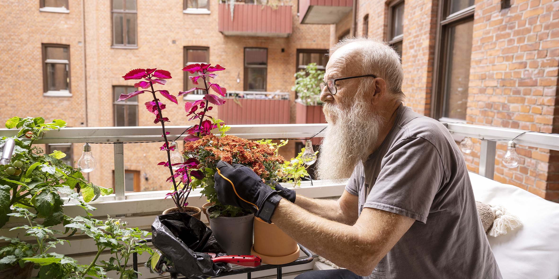 En man med ljusgrått långt skägg sitter på en balkong och pillar med sina balkongväxter. Han har ett par svarta handskar på sig och en gråneige kortärmad tröja. Bkaom ser man en rödbrun tegelfasad.