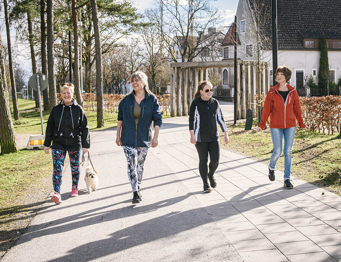Fyra kvinnor och en hund går på rad på en solig gata i ett villaområde.