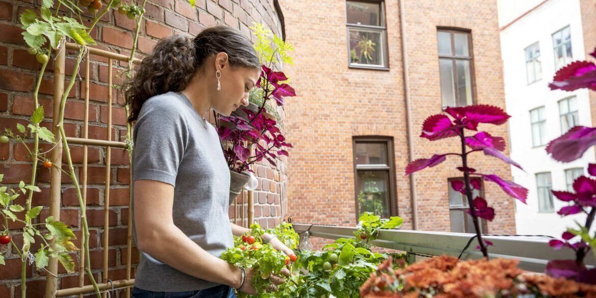 En kvinna med mörkt hår står på sin balkong där det är tomatplantor, gröna växter och lila palettblad