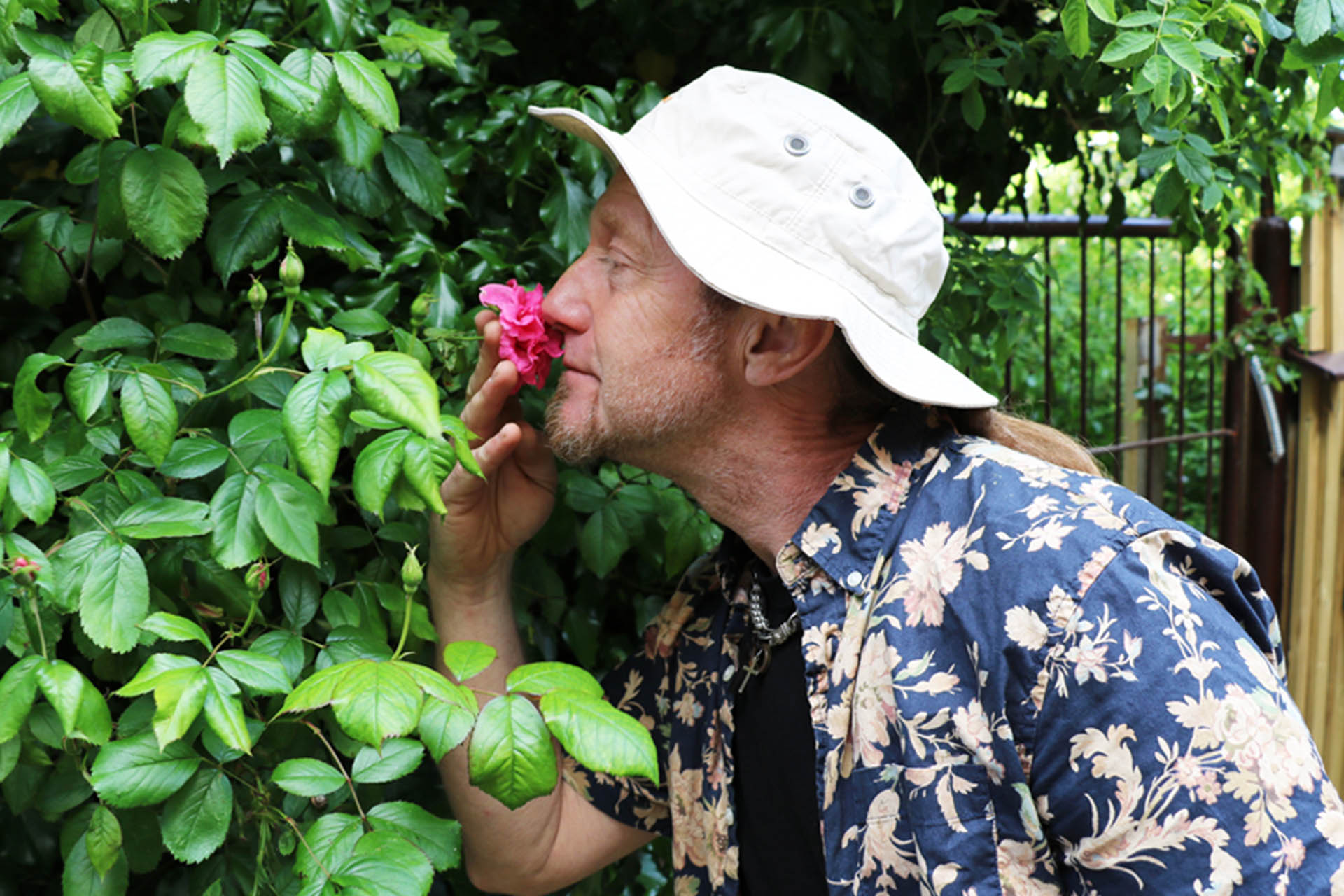 En man med blommig kortärmad skjorta och en vit solhatt står vid en buske och luktar på en rosa blomma.
