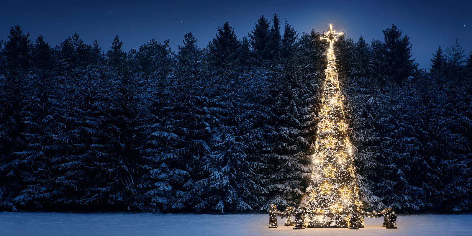 En lysande julgran som står på en snötäckt mark. Bilden är tagen när det är mörkt ute.