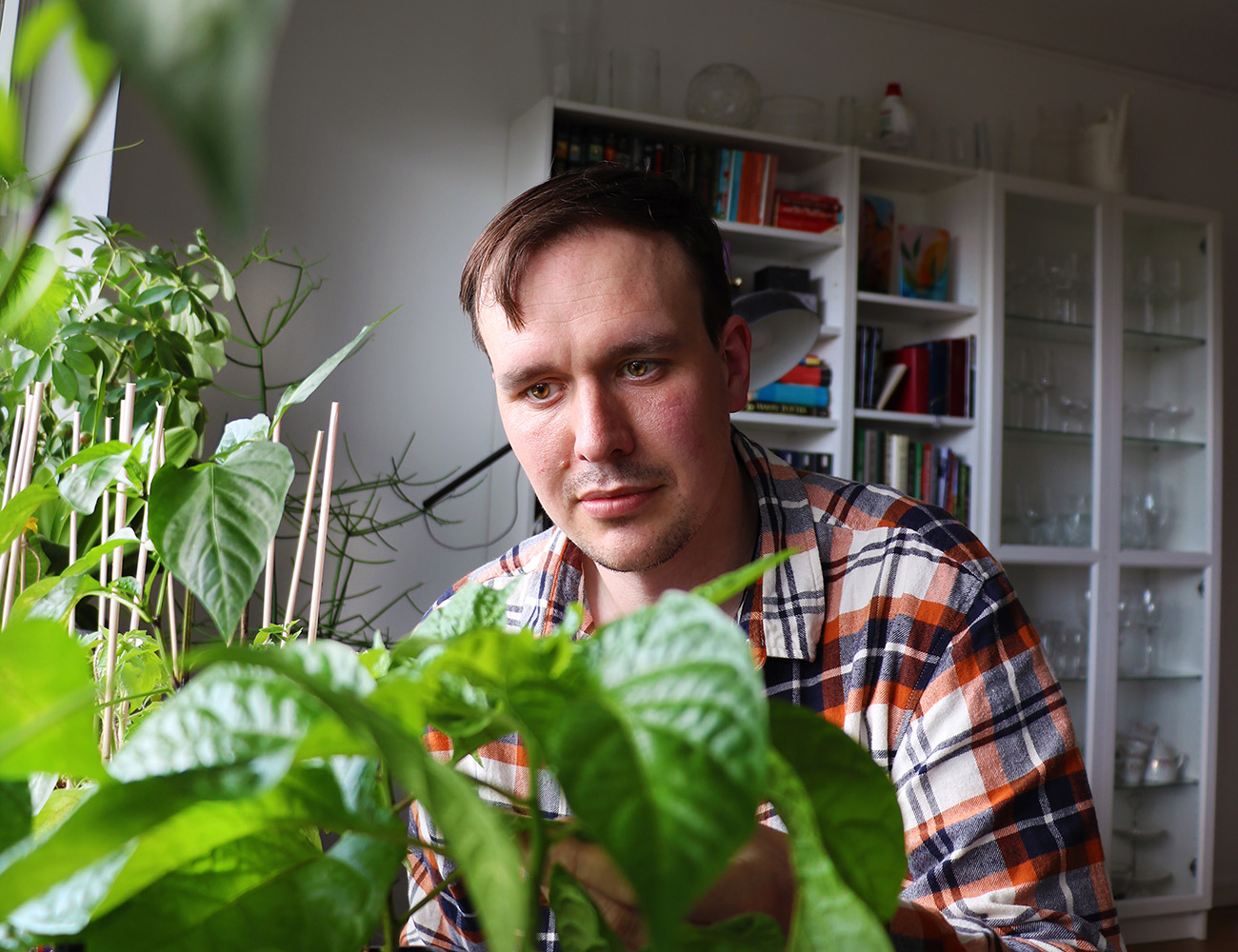 En mörkhårig man med rutig skjorta tittar på sina gröna växter som står i ett rum.