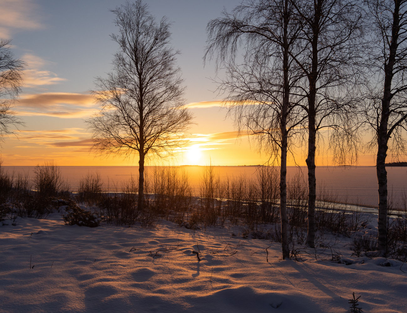 En vinterbild i skogen vid vattnet där man ser solen är på väg upp långt borta. På marken ligger det fullt med vit snö och några snötäckta björkar.