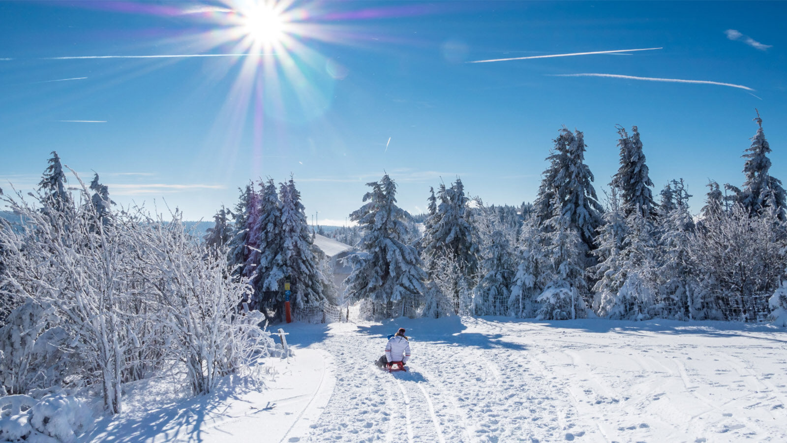 En vinterbild där en vuxen och ett barn sitter på en röd kälke och åker ner för en brant backe.