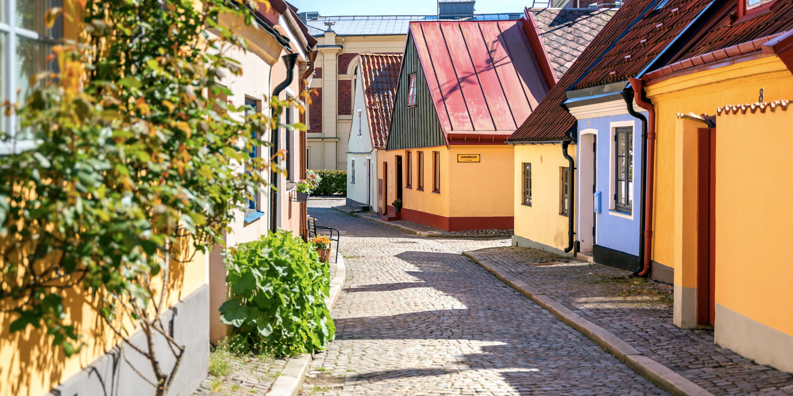 En kullerstensgata i Ystad en sommardag med färgglada gatuhus.