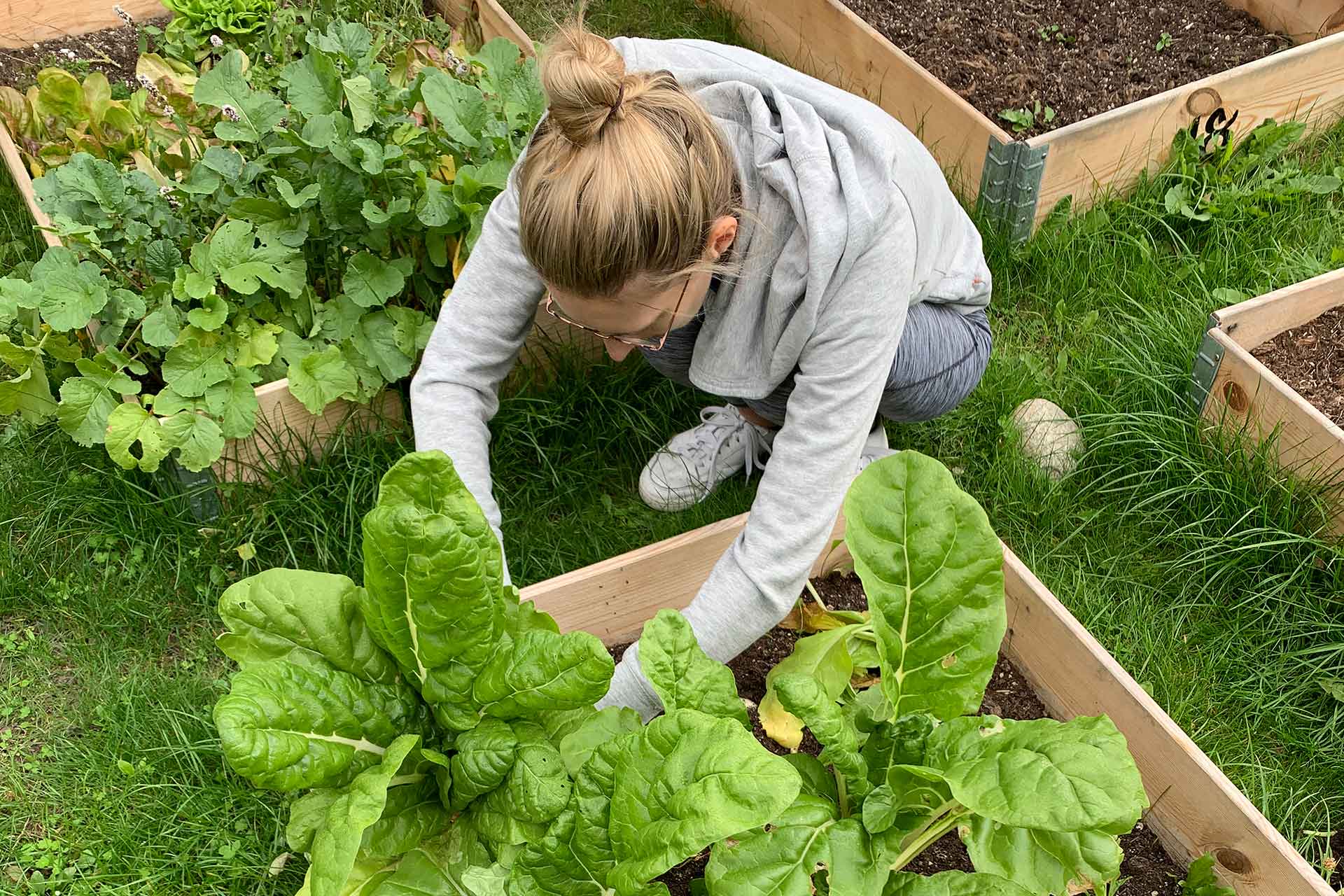 A woman in a grey jumper is tending to her garden vegetables growing in pallet collars.