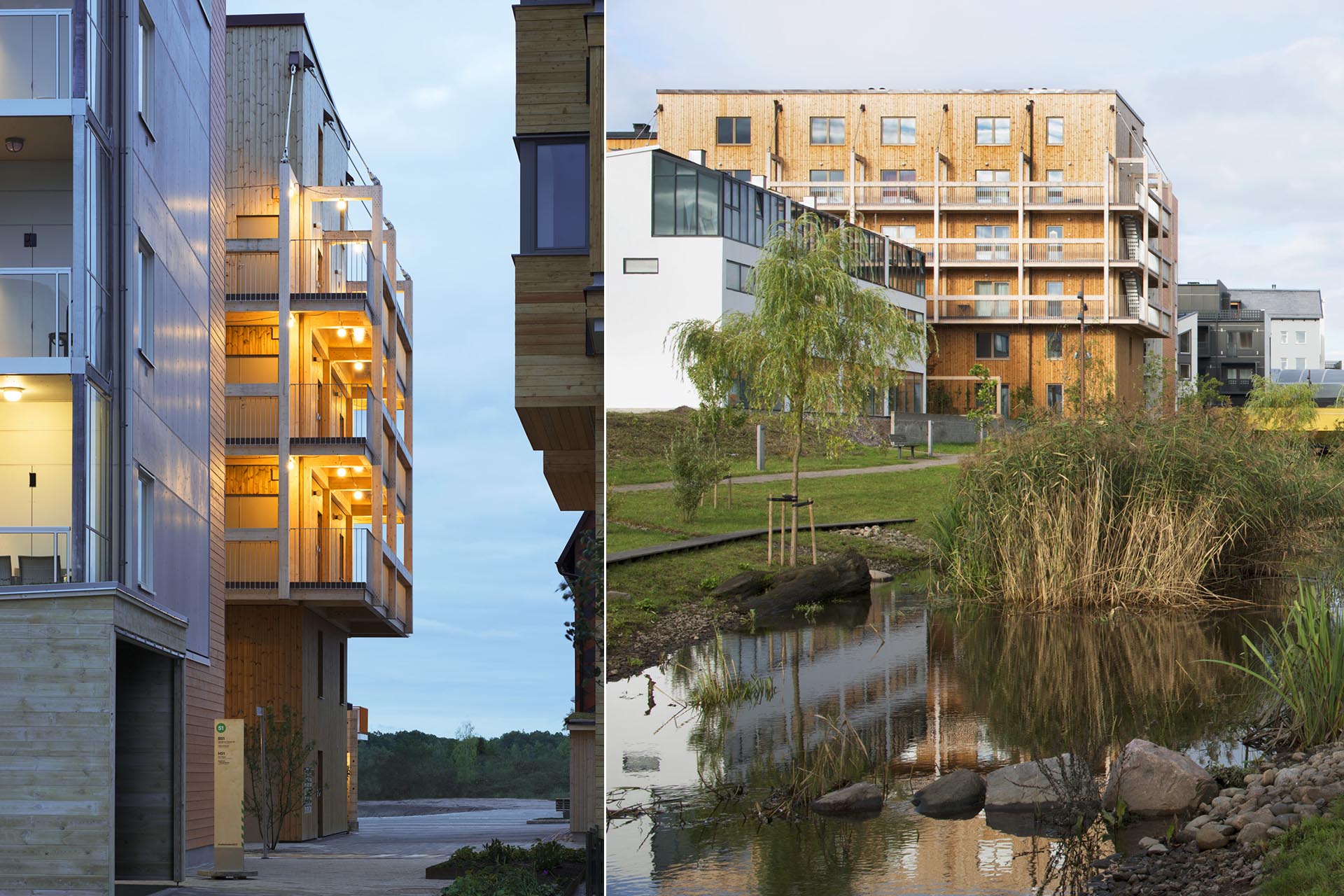 A block of flats made of wood behind a little pond with lots of plants.
