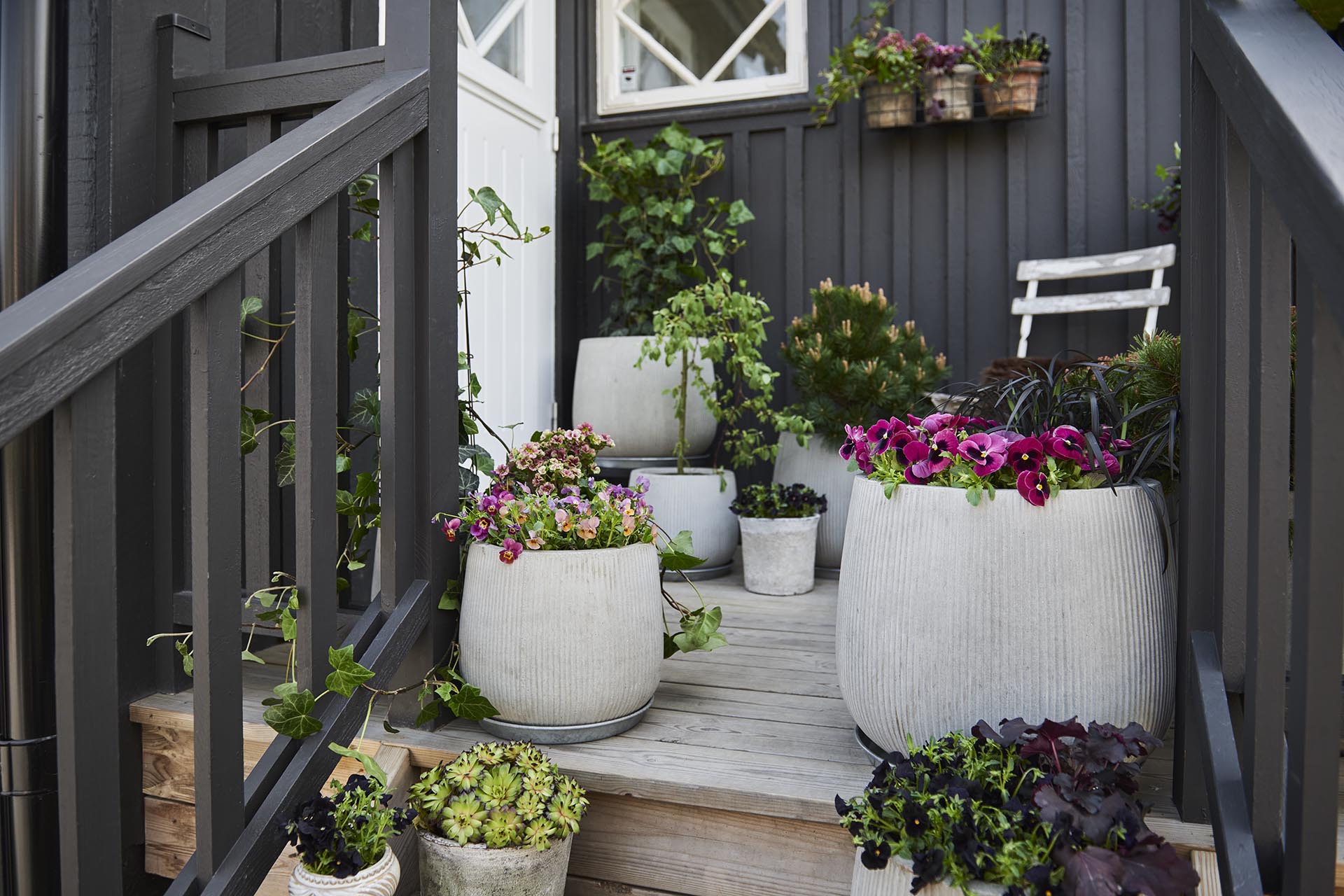 A black wooden house and a staircase with a bunch of white pots in different sizes with plants and flowers in them.