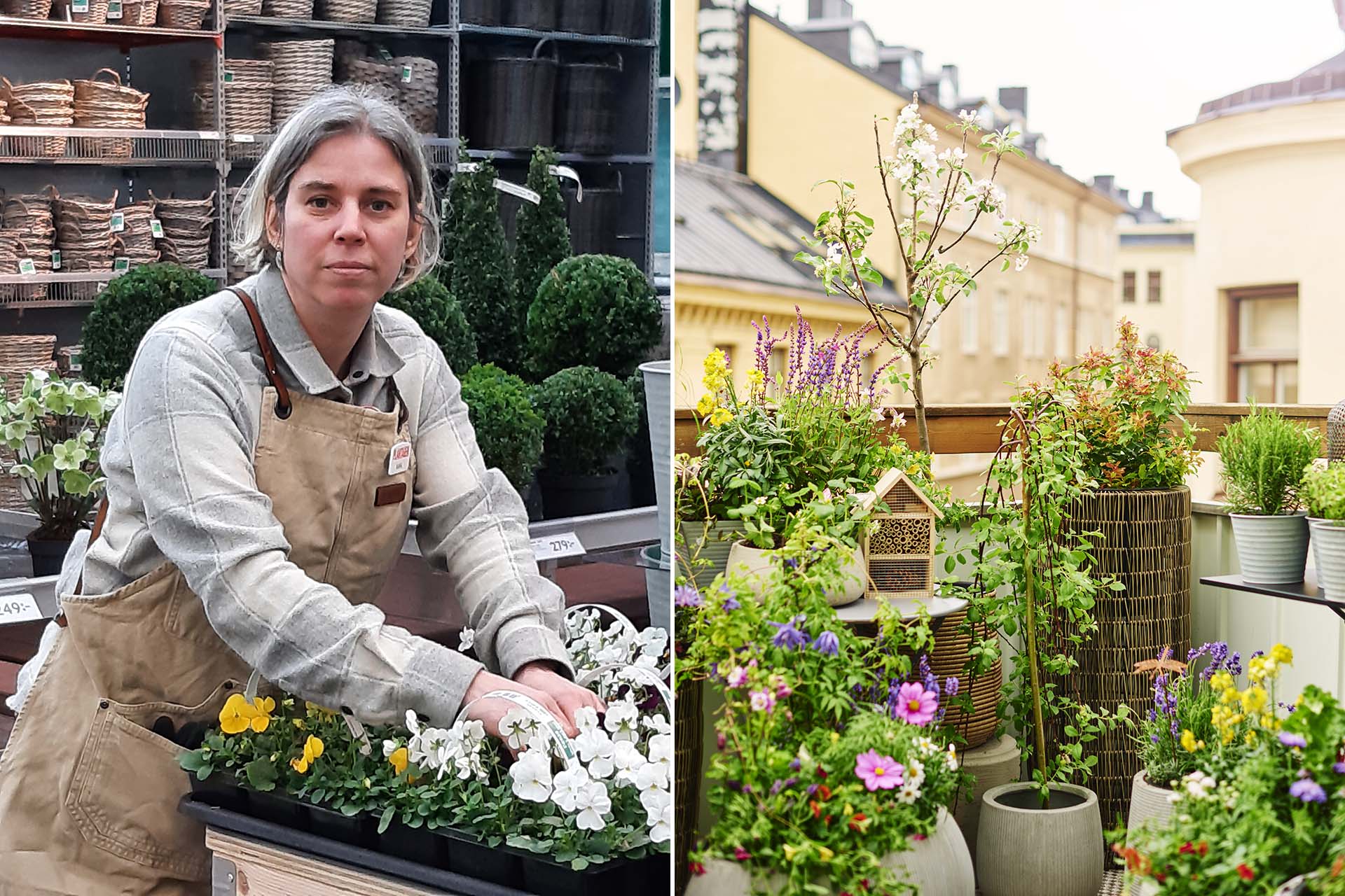 A grey-haired woman with an apron is tending to her plants. In the second part you see a balcony with green plants.