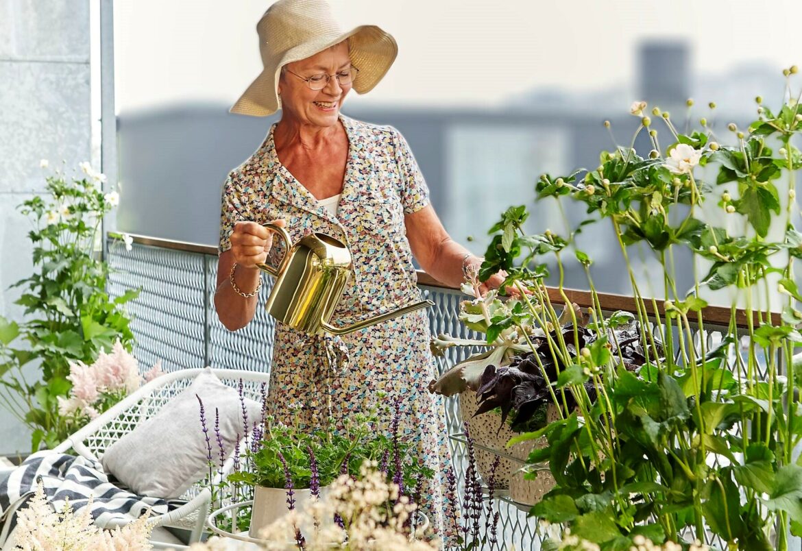 balkonplanten