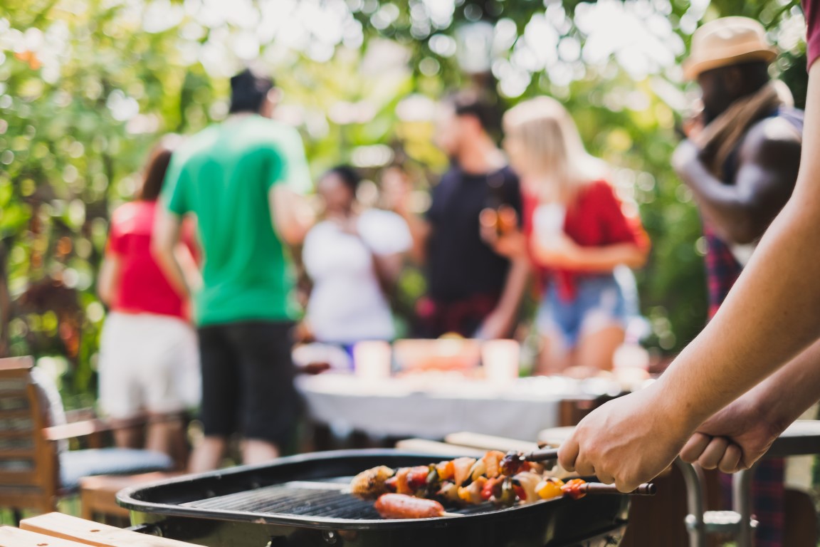 vega spies bbq
