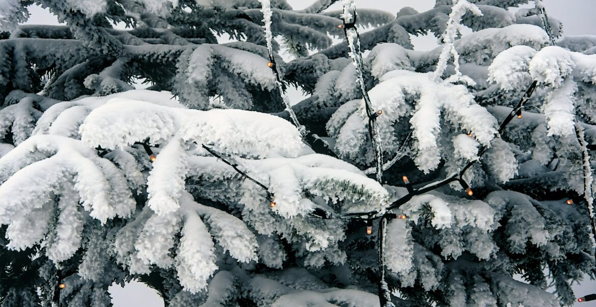 Winter december
