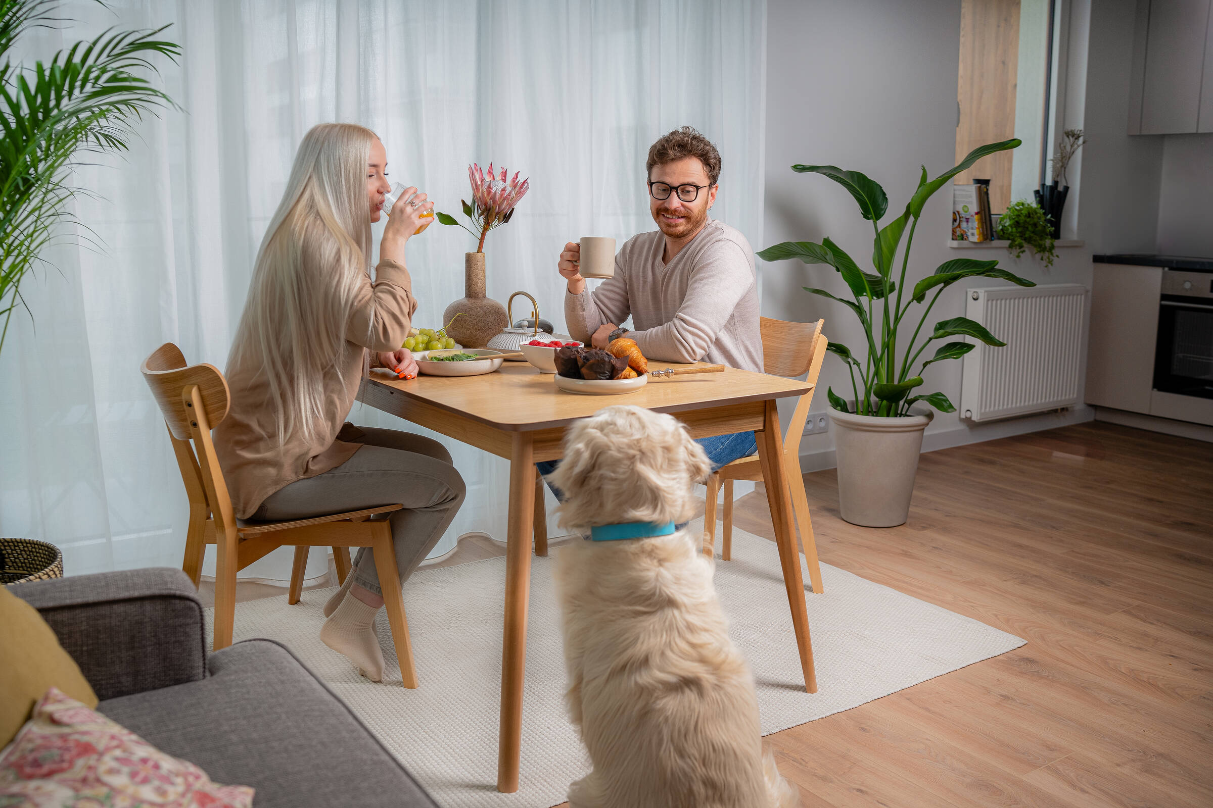 Huurwoningen met huisdieren