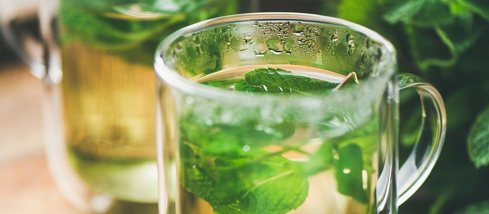 Heimdyrket: Brygg te på selvdyrkede urter