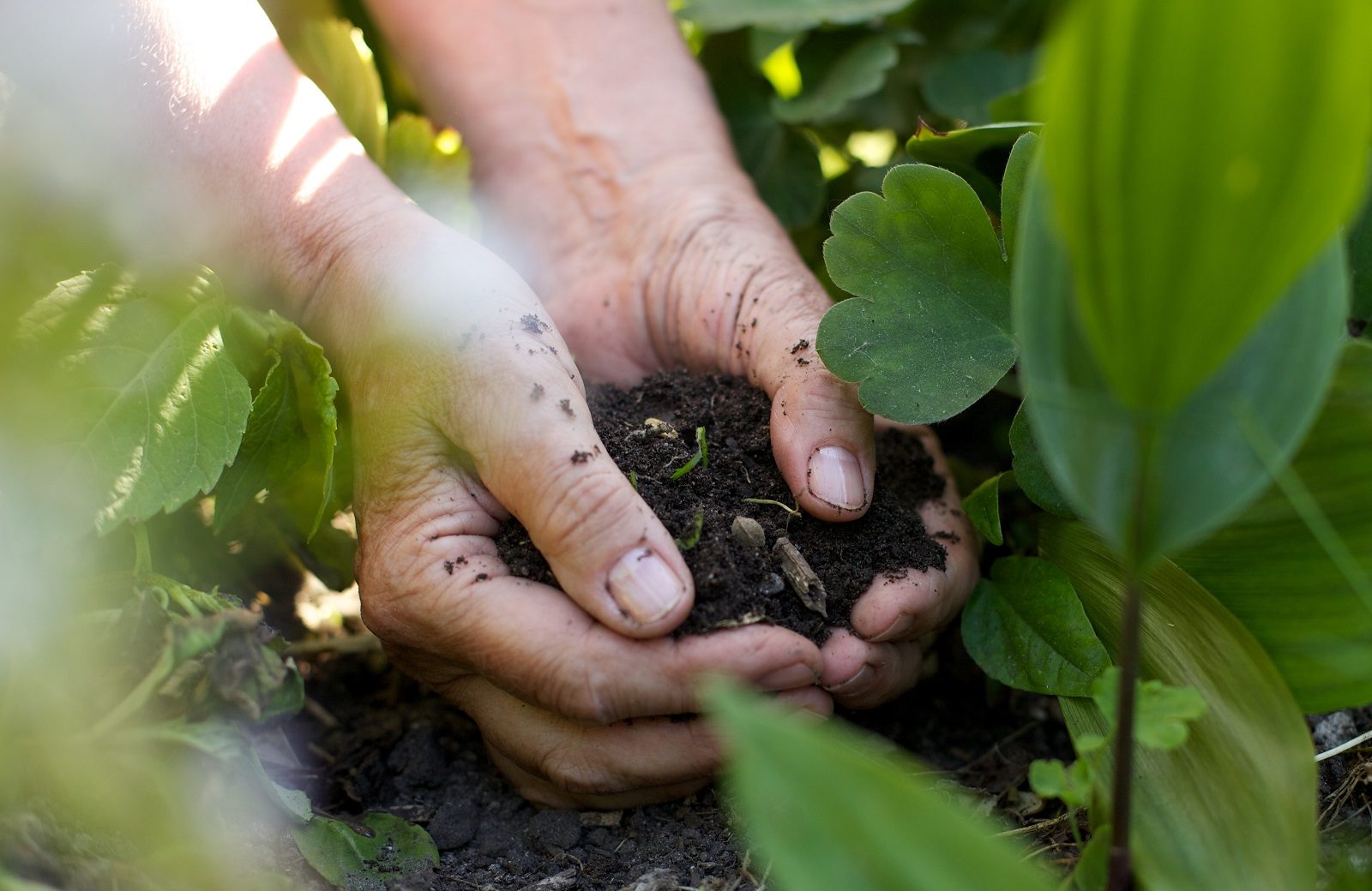 Mer jord under neglene