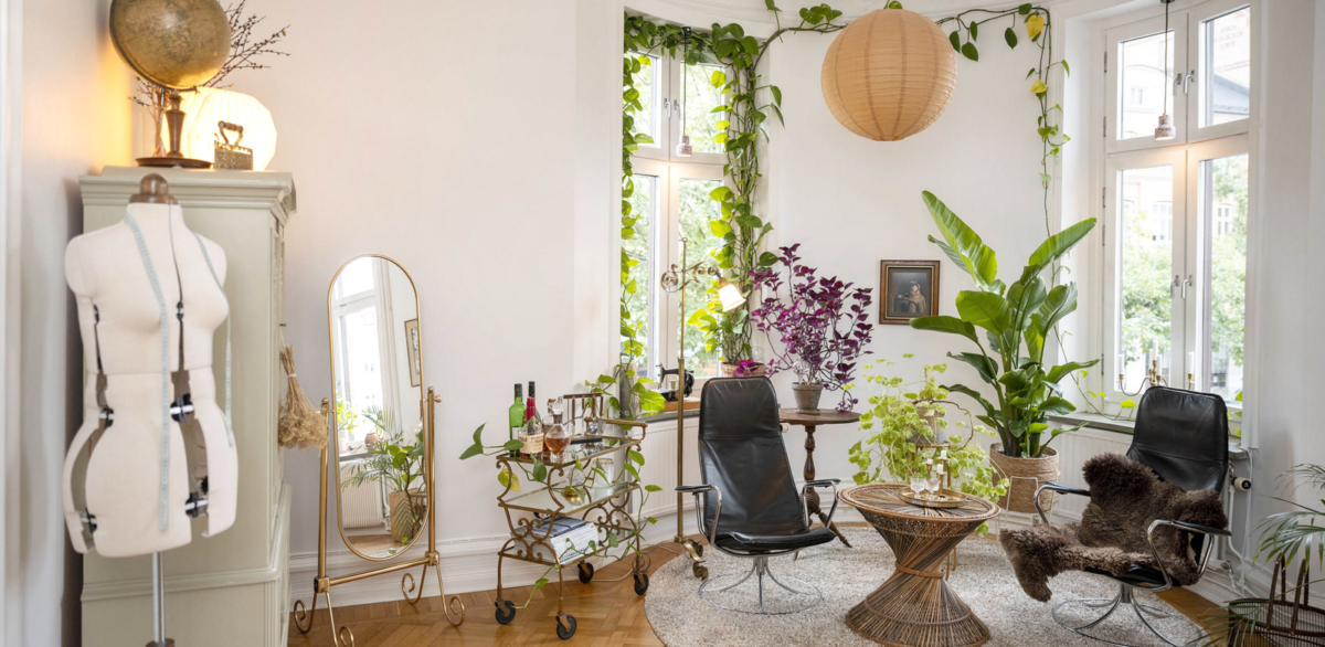 Lyst og stilfullt rom med store vinduer, mange grønne planter og to svarte lenestoler.