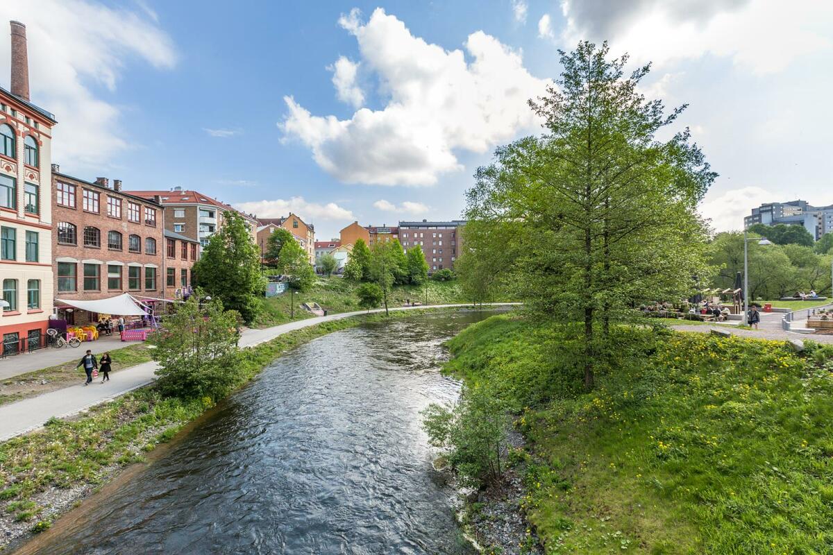 heimstaden kontor