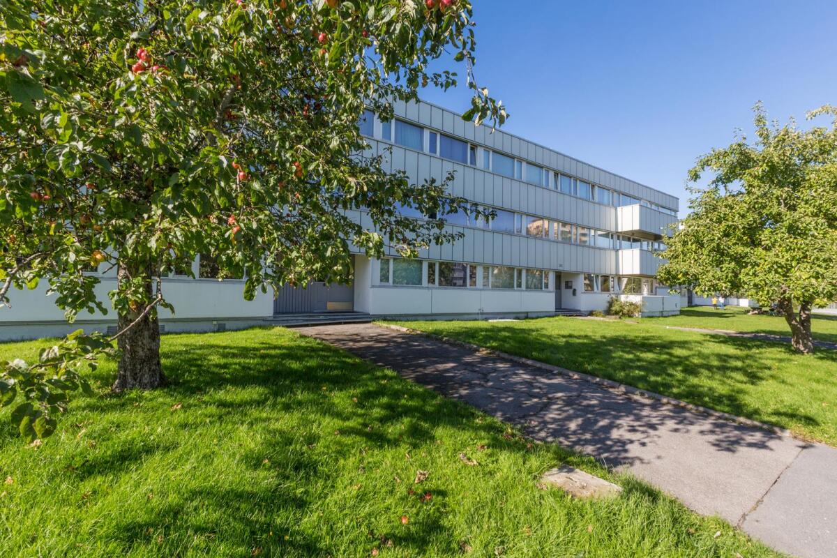 Leilighet til leie Oppsal