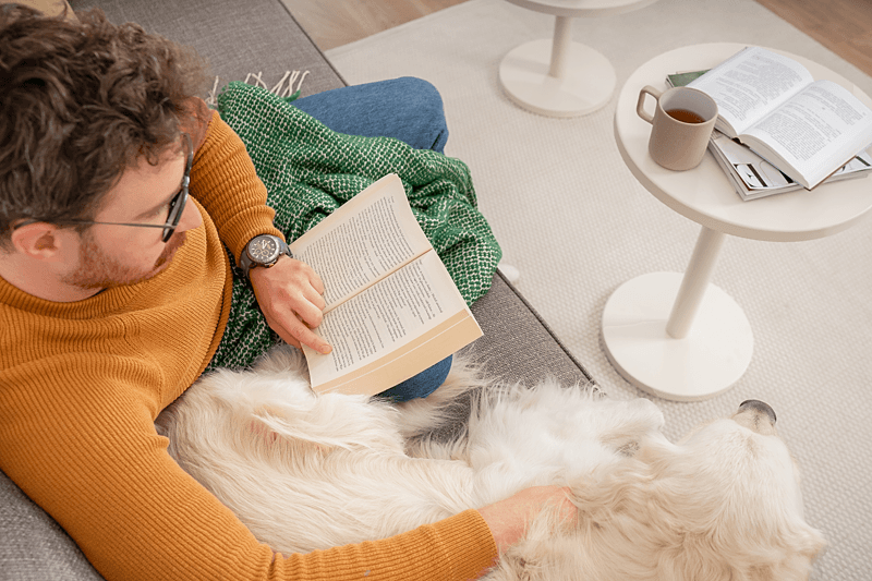 wynajem ze zwierzętami