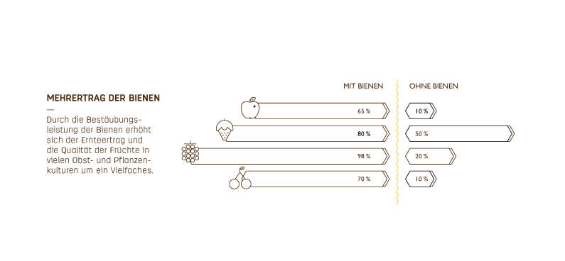 Mehrertrag der Bienen Info Grafik