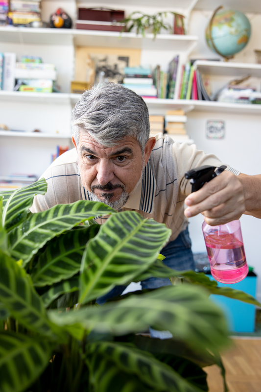 HeimGarten Pflanzen zuhause Wohnung Mieten