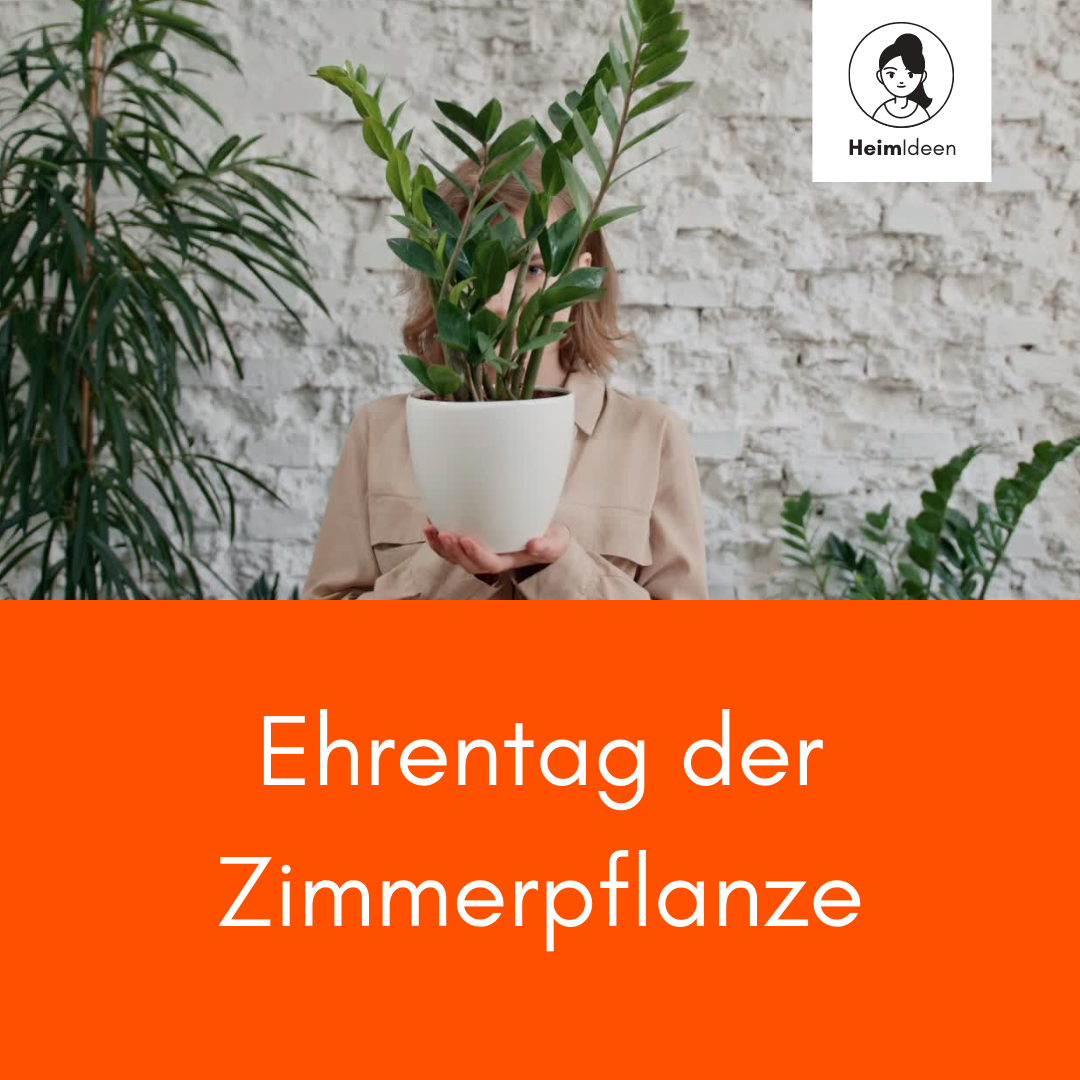 Ehrentag der Zimmerpflanze