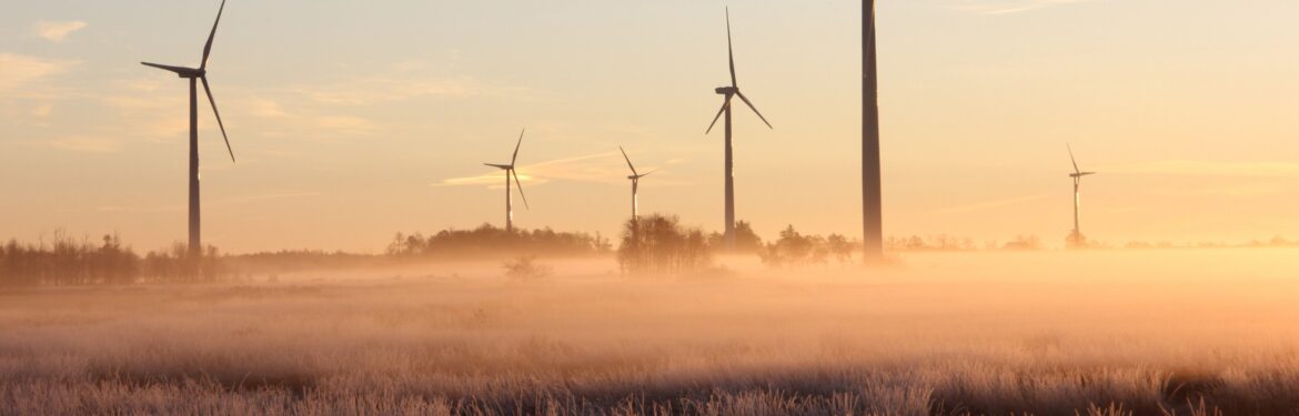 Sustainability