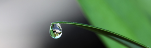 Wassersparen