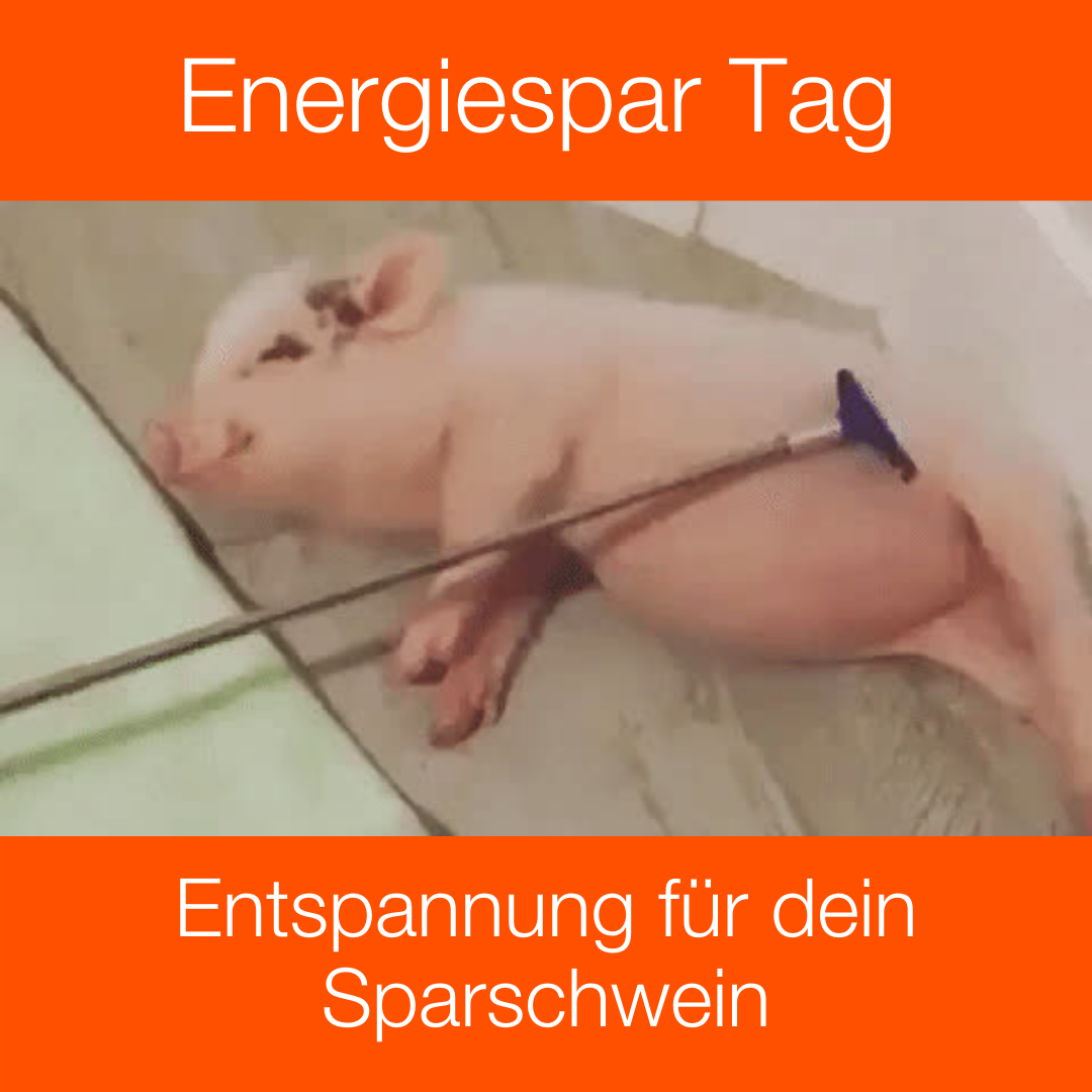 Weltspartag Instagram Mietwohnung