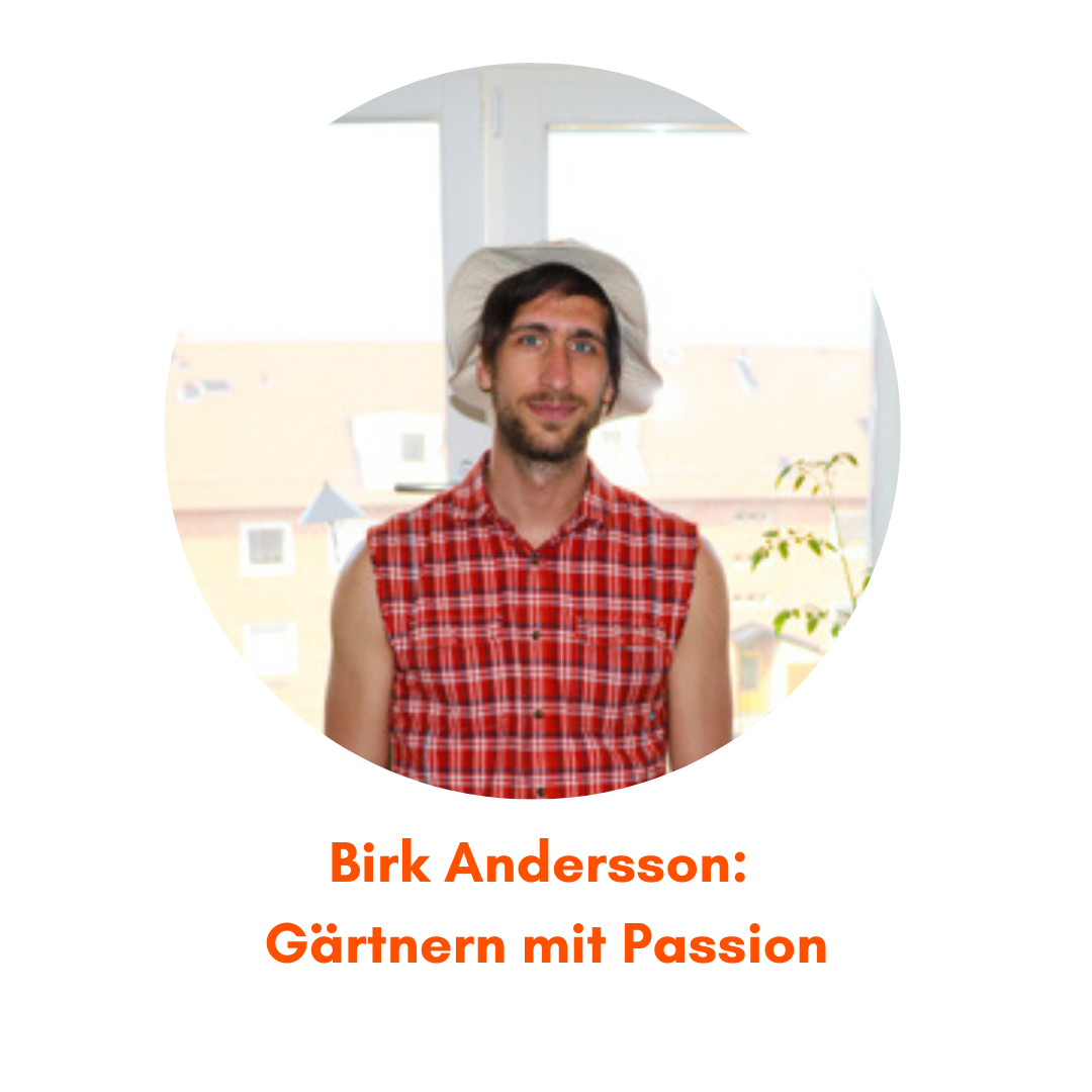 Heimstaden Birk Heimgarten Kräutergarten