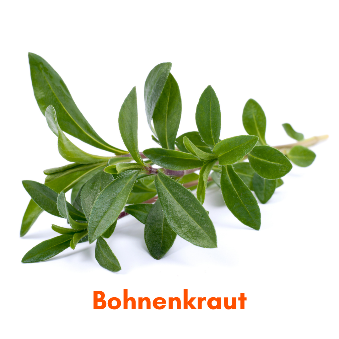 Heimstaden Mietwohnung Heimgarten Kräuter Bohnenkraut