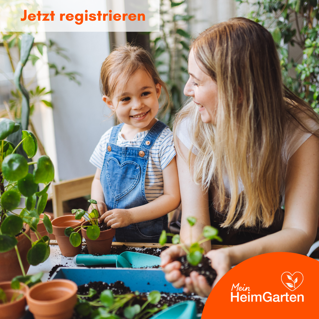 Heimgarten Heimstaden Mietwohnung