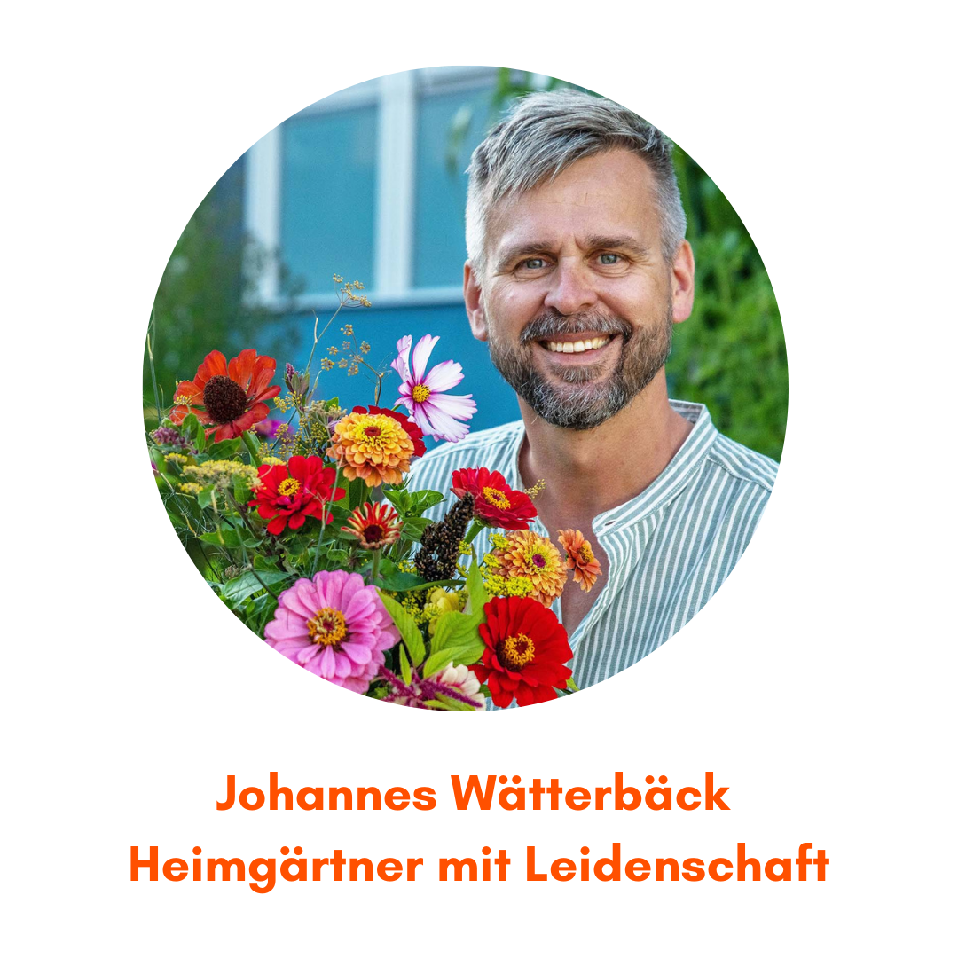 Heimstaden Heimgarten Tipps Mietwohnung