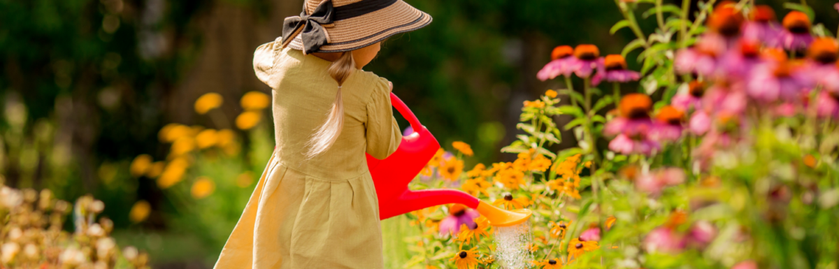 Banner Blumenbeete