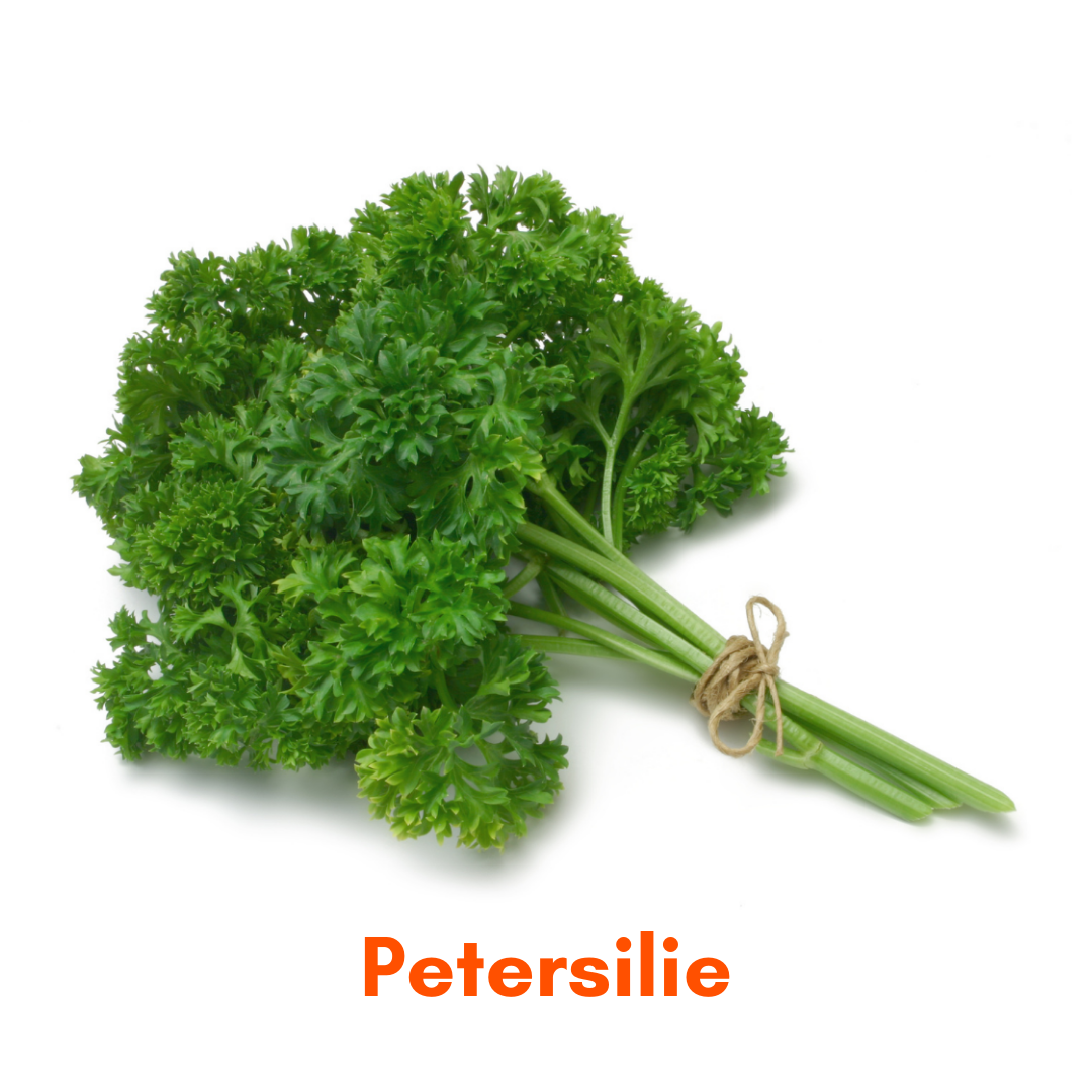 Petersilie Heimgarten Heimstaden