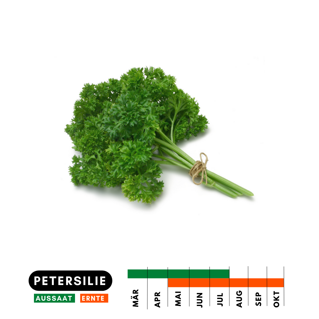 Petersilie Saison Heimgarten Heimstaden Mietwohnung