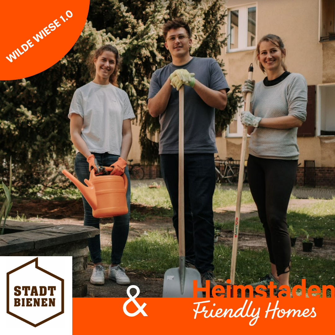 Wilde Wiese Berlin Spandau