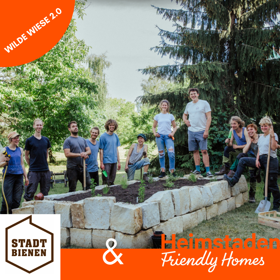 Wilde Wiese 2.0 Stadtbienen Instagram Post
